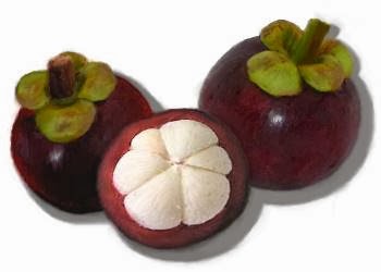 buah-manggis